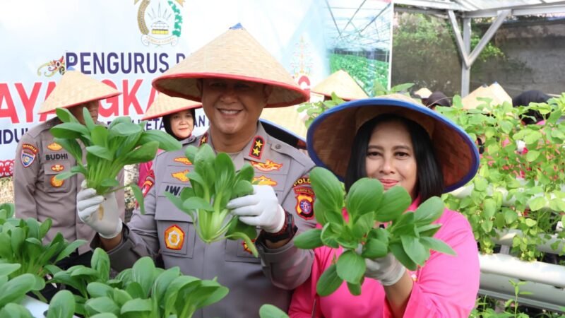 Dukung Ketahanan Pangan, Kapolda Kalteng Bersama Bhayangkari Panen Sayur di Lahan Pekarangan Pangan Lestari