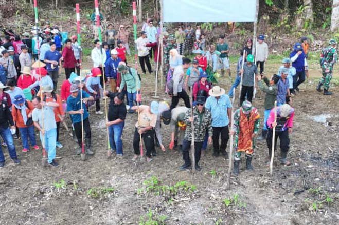 Bupati Mura Bersama Jajaran Forkopimda dan Stakeholder Terkait Laksanakan Tanam Padi Gogo di Kelurahan Saripoi