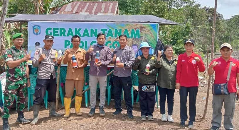 Distanik Mura Laksanakan Gerakan Tanam Padi Gogo di Kelompok Tani Pakat Pio