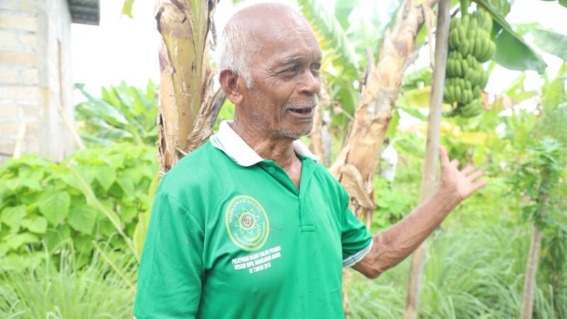 Kampung Reforma Agraria Baumata Tunjukkan Hasil: Warga Raup Pendapatan Baru dari Pisang Cavendish