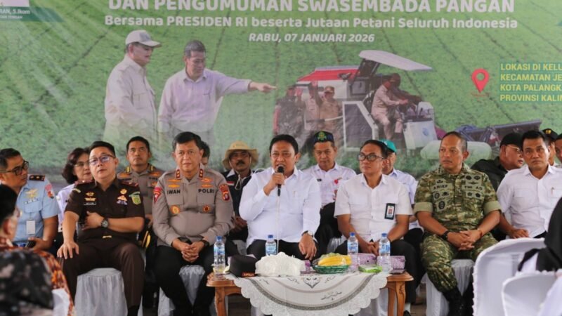Panen Raya dan Swasembada Pangan: Langkah Strategis Kementerian Pertanian