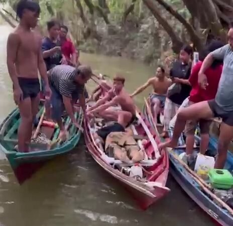 Perahu Terbalik Usai Dihantam Pohon Tumbang, Lansia di Tewah Meninggal Dunia