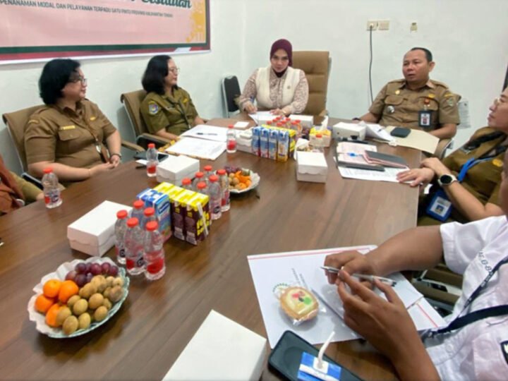 Inventarisasi Pengawasan Pelaksanaan UU No. 7 Tahun 2021, Komite IV Anggota DPD RI Reses ke DPMPTSP Kalteng