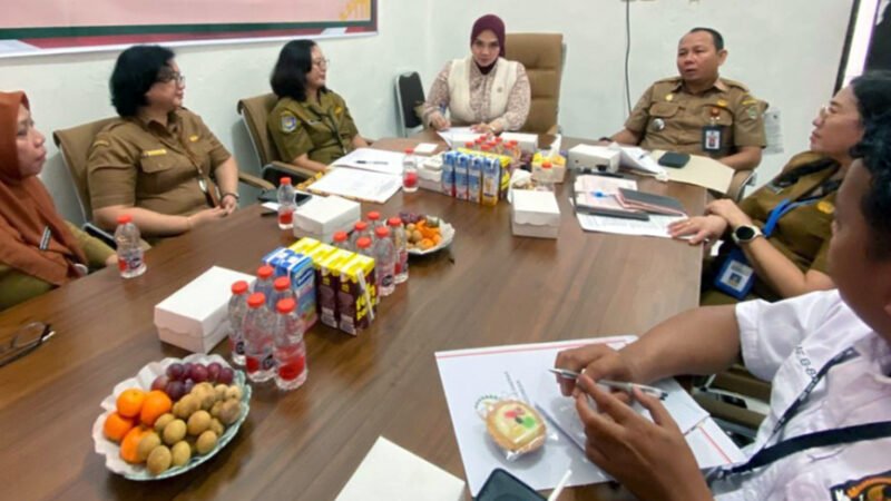 Inventarisasi Pengawasan Pelaksanaan UU No. 7 Tahun 2021, Komite IV Anggota DPD RI Reses ke DPMPTSP Kalteng