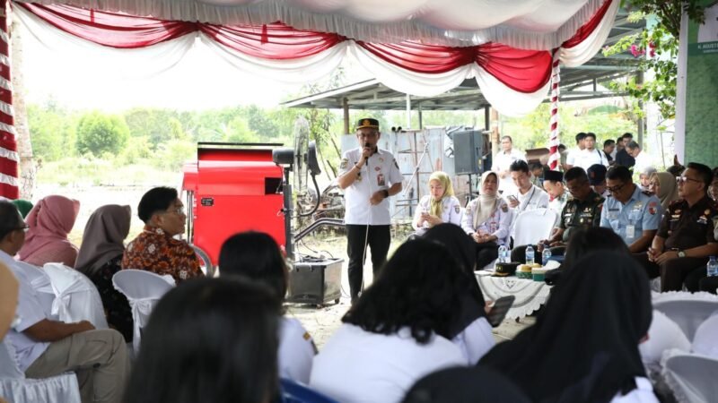 Ikuti Panen Raya Nasional Secara Virtual, Pemprov Kalteng Dukung Ketahanan Pangan Daerah