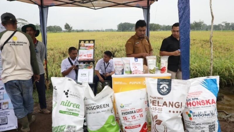 Dengan Teknologi Pemupukan dan Combine Harvester Perkuat Produksi Padi di Pulang Pisau