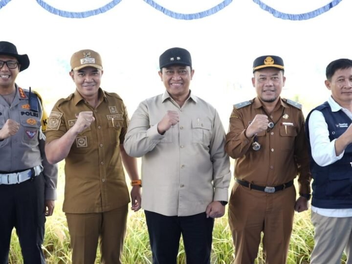 Pada Panen Raya Demplot Padi, Pemprov Kalteng Tegaskan Komitmen Program Ketahanan Pangan