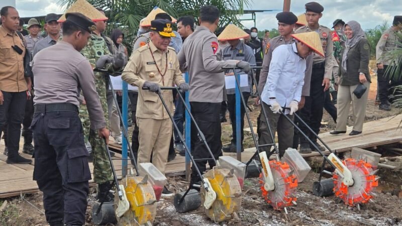 Dukung Program Swasembada Pangan, Gubernur Kalteng Hadiri Tanam Jagung Serentak di Pulang Pisau