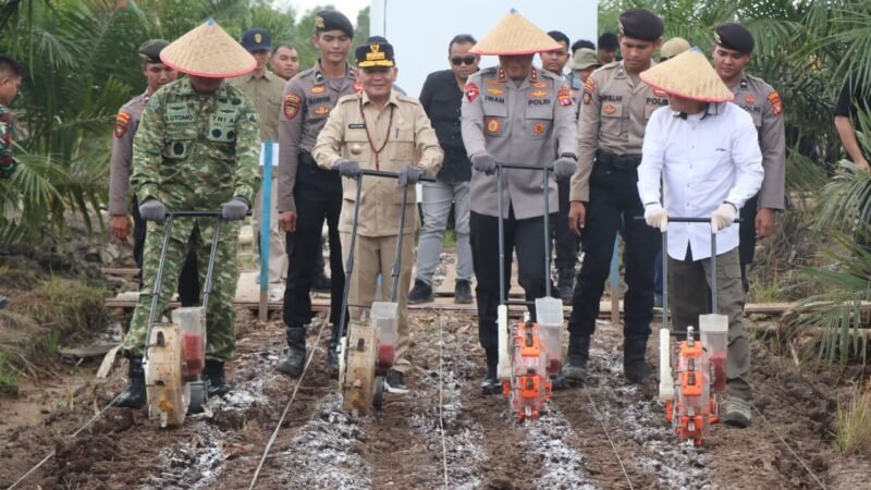 Polda Kalteng dan PT MKM Tanam Jagung di Lahan Sawit, Dukung Swasembada Pangan 2026
