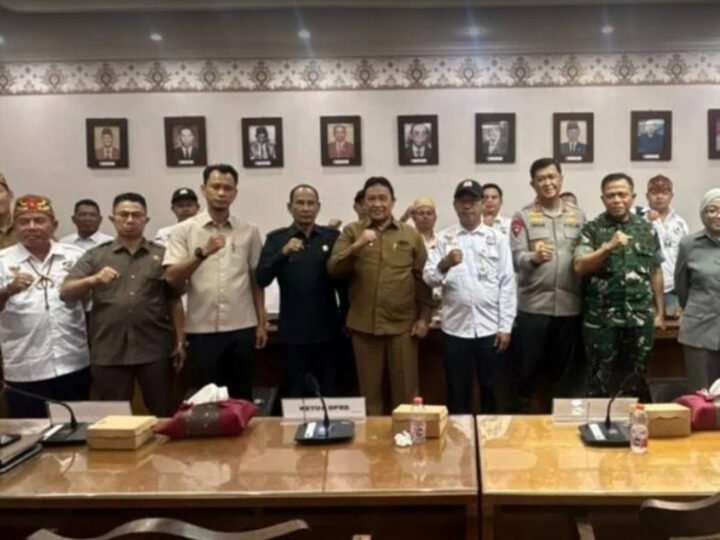 Hadiri RDP, Pemprov Kalteng Minta Penyederhanaan Aturan Agar Masyarakat Penambang di Lapangan Tidak Terbebani