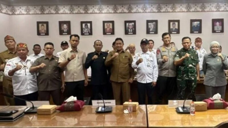 Hadiri RDP, Pemprov Kalteng Minta Penyederhanaan Aturan Agar Masyarakat Penambang di Lapangan Tidak Terbebani
