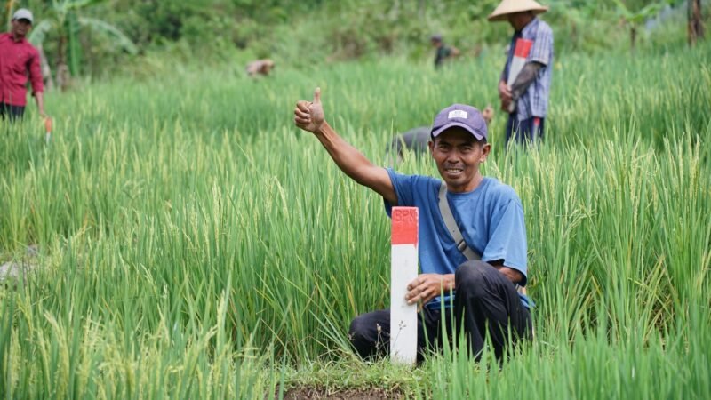 Lindungi Aset Sejak Dini, Ini Cara Aman Jaga Tanah dari Risiko Penyerobotan