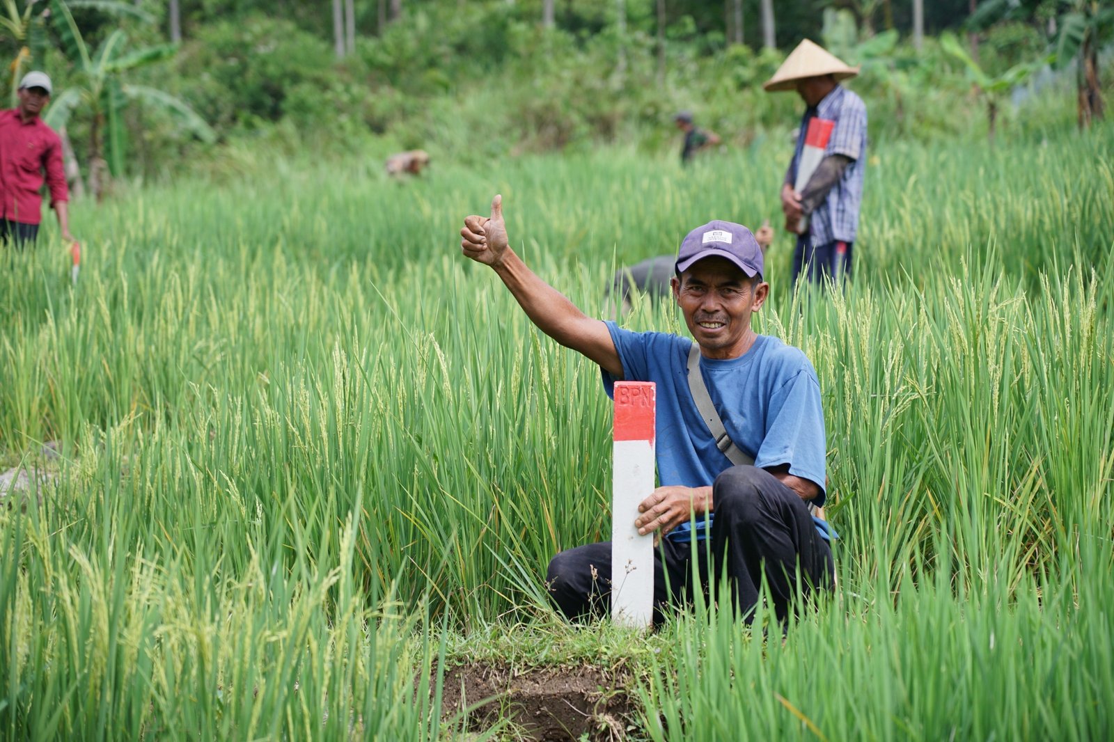 Lindungi Aset Sejak Dini, Ini Cara Aman Jaga Tanah dari Risiko Penyerobotan