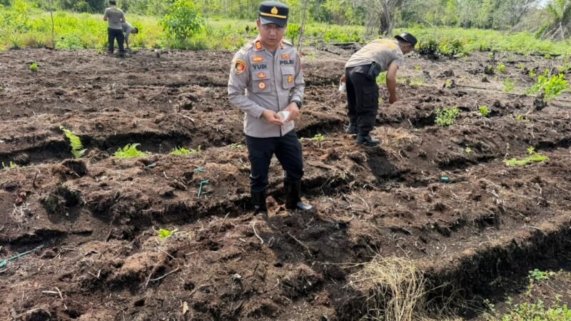 Polsek Pahandut dan Petani Bukit Tunggal Tanam Jagung, Perkuat Ketahanan Pangan Daerah