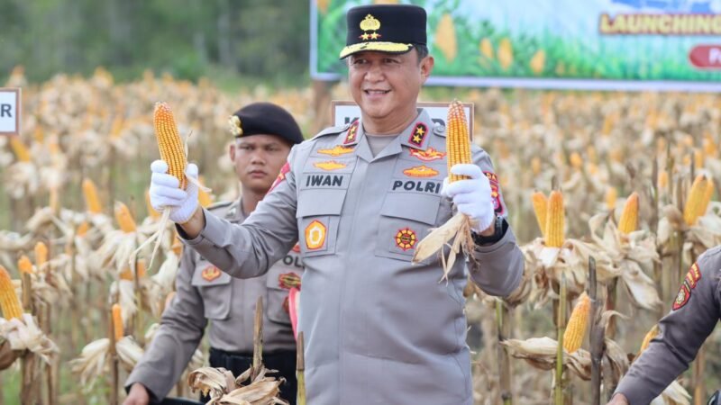 Kapolda Kalteng Hadiri Panen Raya Jagung Kuartal II di Rakumpit