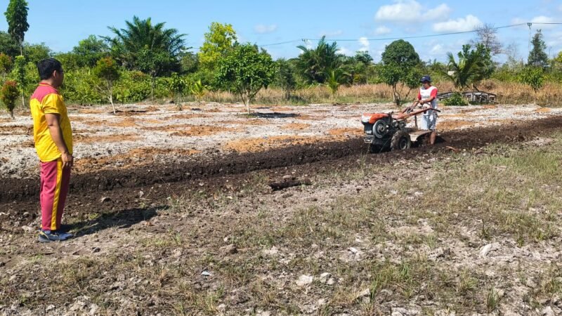 Polsubsektor Jekan Raya Matangkan Lahan, Jagung Kuartal III Siap Ditanam Juli