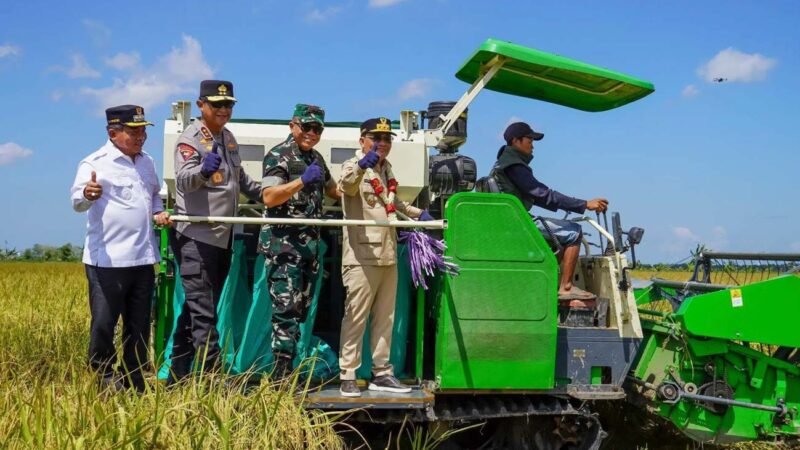 Gubernur Kalteng Pimpin Panen Raya Padi di Kecamatan Bataguh Kapuas