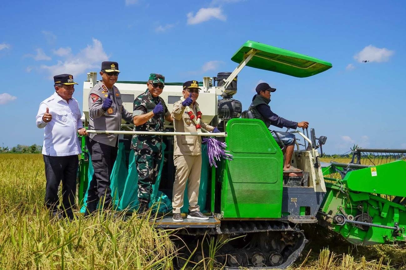 Gubernur Kalteng Pimpin Panen Raya Padi di Kecamatan Bataguh Kapuas