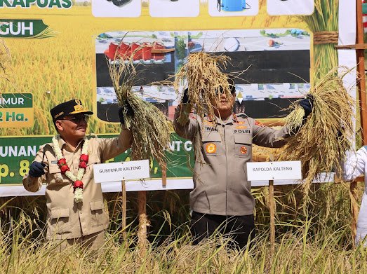 Kapuas Gelar Panen Raya Padi, Kapolda Kalteng Tegaskan Dukungan untuk Ketahanan Pangan
