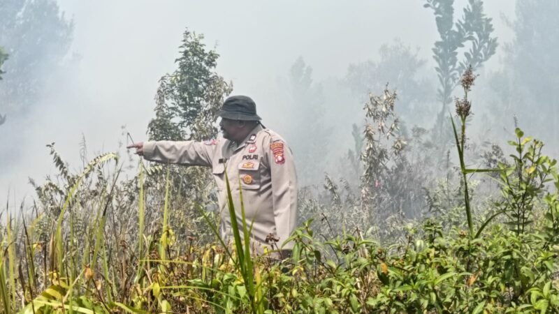 Polisi Cek Lahan Gambut Terbakar 1,8 Hektare di Palangka Raya