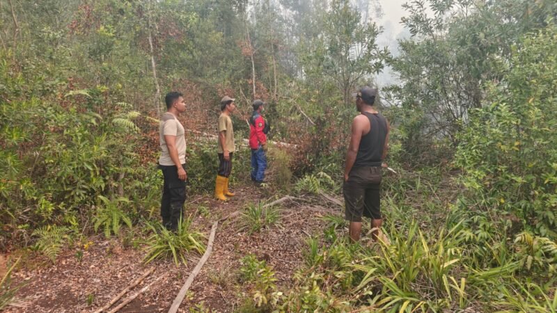 Api Kembali Muncul di Lahan Gambut Kalampangan, Polisi dan BPK Lakukan Pemadaman
