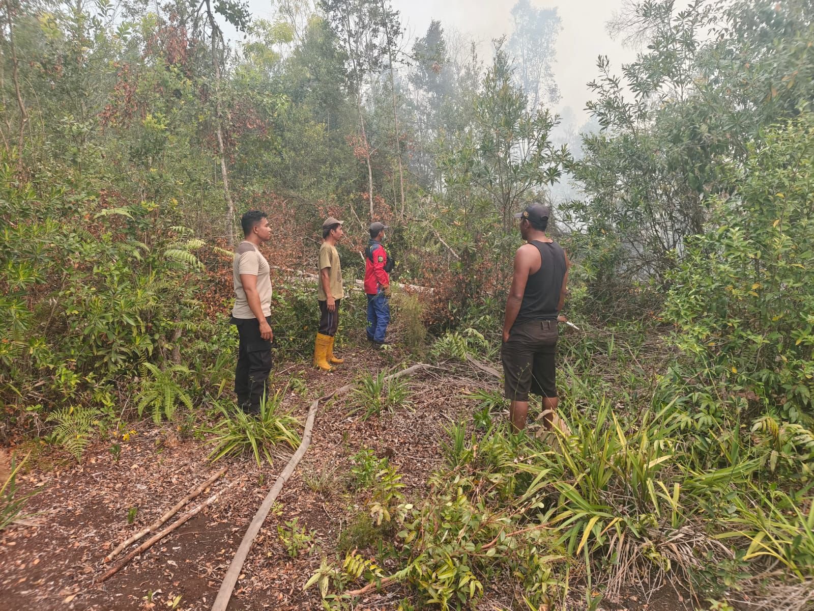 Api Kembali Muncul di Lahan Gambut Kalampangan, Polisi dan BPK Lakukan Pemadaman