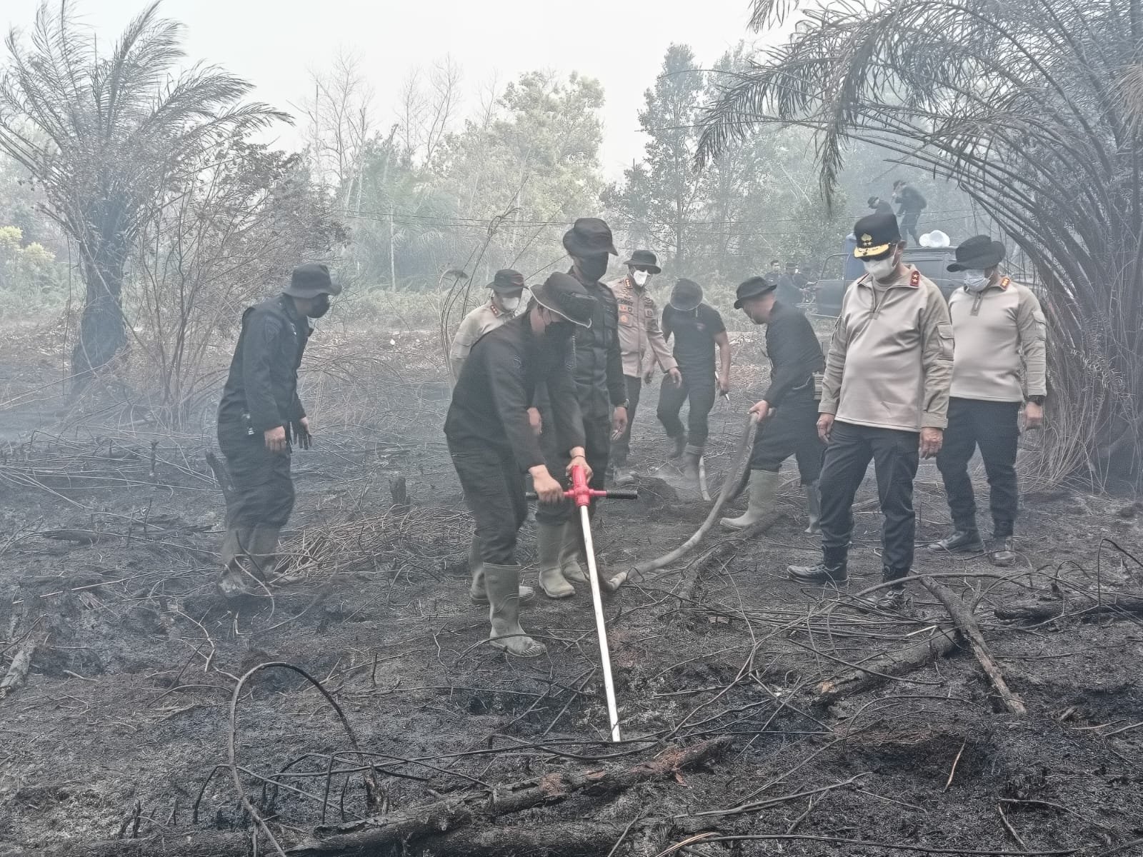 Bantuan Korbrimob Polri, Polda Kalteng Gunakan Serbuk Tepung Singkong untuk Matikan Bara Karhutla di Gambut