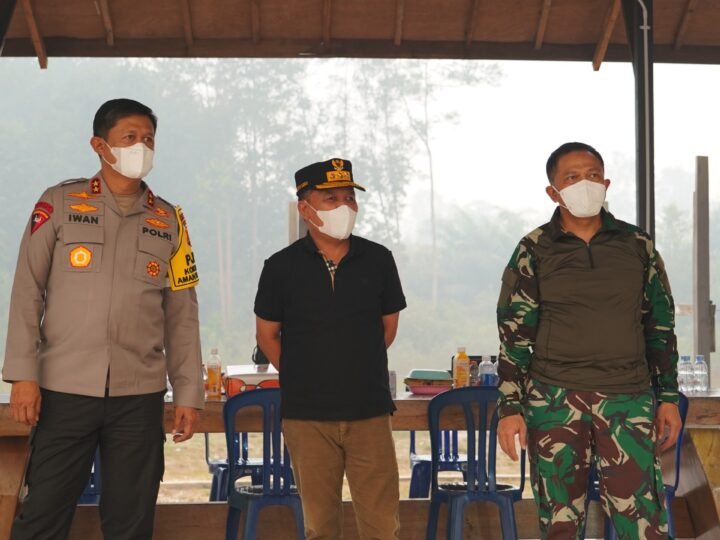 Pangdam, Gubernur, dan Kapolda Kalteng Pantau Langsung Penanganan Karhutla